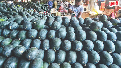 Watermelon price drop