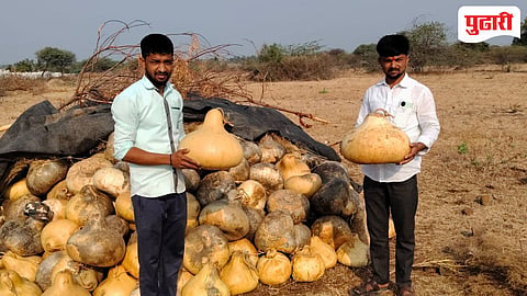 वाद्यनिर्मितीच्या भोपळ्यातून बेगमपूरच्या भोई बंधूंची लाखोंची कमाई
