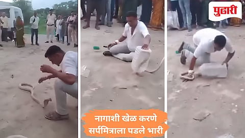 Snake Catcher Death