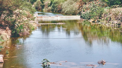 Ner dam