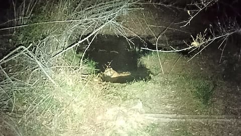 Tadoba Tiger Reserve