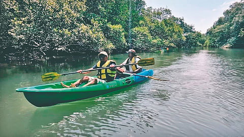 Konkan Tourism