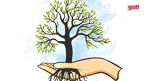 MSRDC afforestation land issue