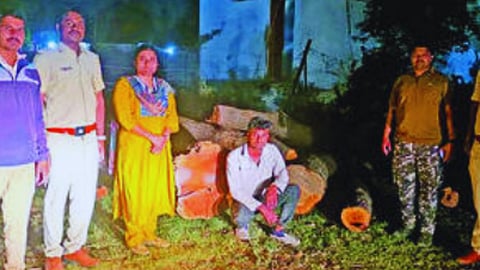 Forest Department Action