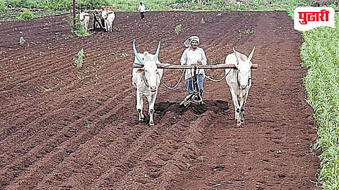 kharif season preparation