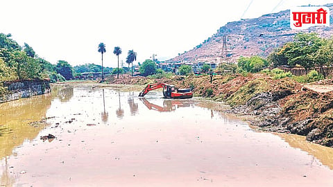 Indrayani River Water Hyacinth