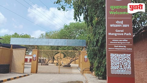 Gorai mangrove park