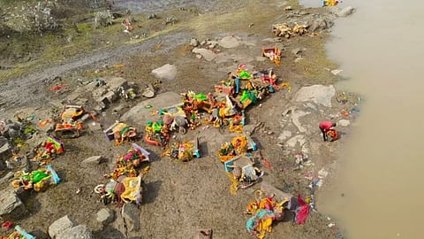 Godavari pollution