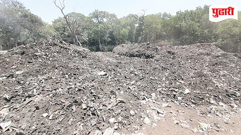 Waste Management