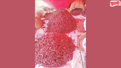 Red chili price hike : आठवडे बाजारात लाल मिरचीचा ठसका