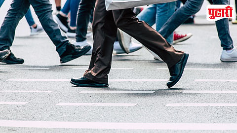 Pedestrian