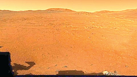 Crocodile bridge Mars |