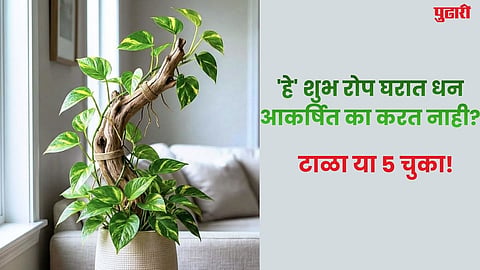 Vastu Tips for Money