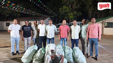 शेतात लागवड केलेला २७ लाखांचा गांजा जप्त, आरोपीस अटक