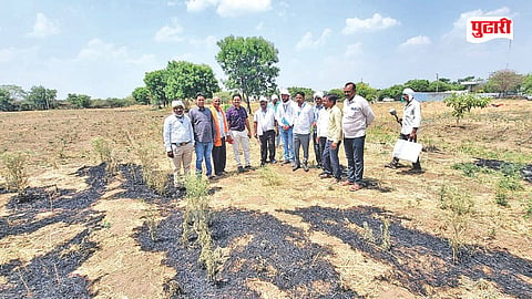 Arapur MIDC project