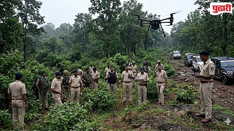 Forest Search Operation