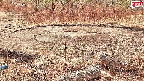 Forest water crisis