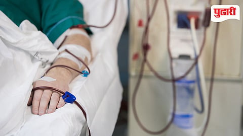 Dialysis Services Growth