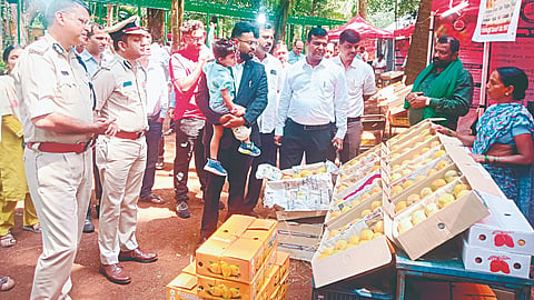 Belgaum mango festival: खवय्यांना पर्वणी, ४० प्रकारचे आंबे उपलब्ध