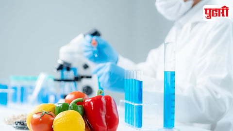 Food Adulteration