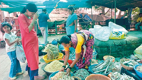 Ratnagiri Fish Rates