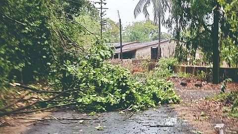 Sindhudurg Rain Update
