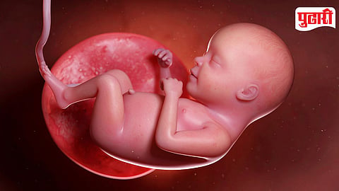 Fetal Determination