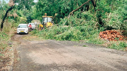 Ratnagiri Rain Update