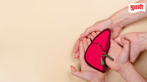 liver transplant