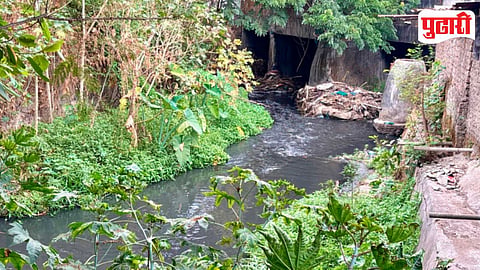 Pimpri Chinchwad Drain Blogging