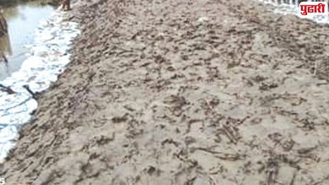 Raigad paddy cultivation target