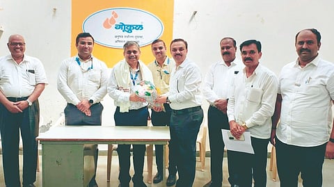 Gokul Milk