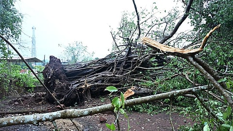 Sindhudurg Rain