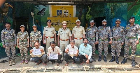 Sahyadri Tiger Reserve