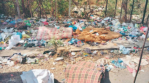 karad garbage problem: लोकसंख्या वाढली, पण कचऱ्याचा प्रश्न ‘जैसे थे’