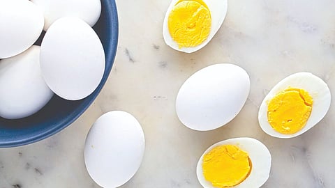 Dementia prevention diet |