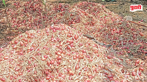 onion farmers crisis
