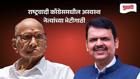 Sharad Pawar Devendra Fadnavis News