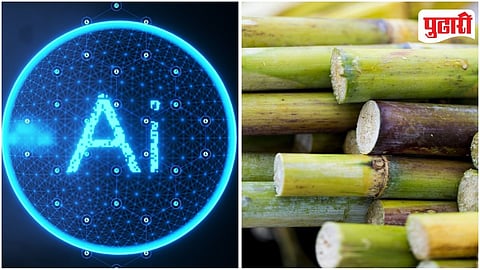 AI Drone Sugarcane Farming