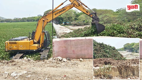 Pashan Lake Pollution Issue
