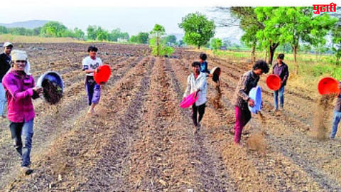 Kharif Season
