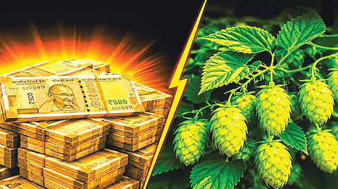 Expensive vegetables |