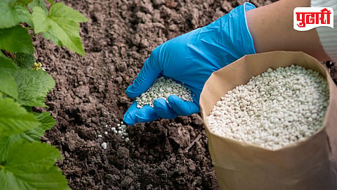 Fertilizer
