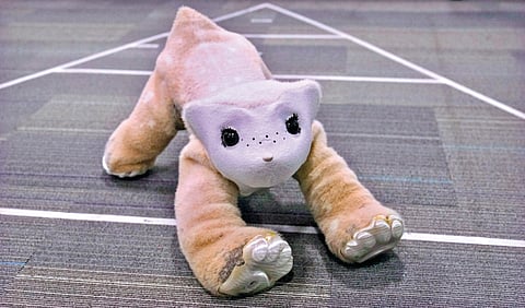 Smart robotic animals |