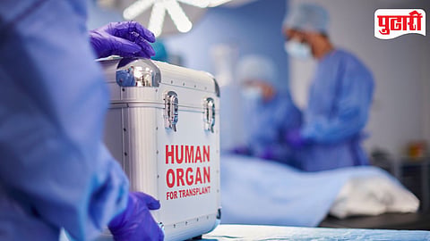 Organ Transplant