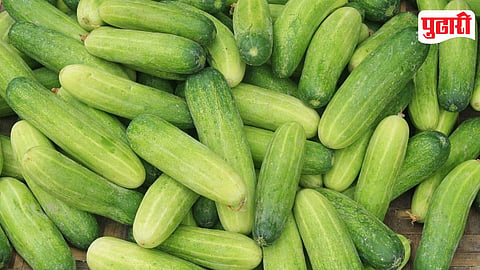 Cucunber