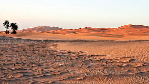 Sudan archaeological discovery |