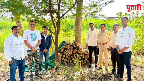 Purandar Sandalwood Seizure