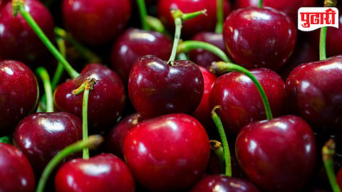 Cherry