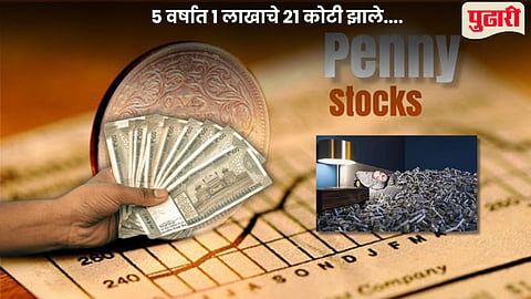 penny stock multi baggers